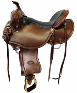 spotted saddle horse for sale